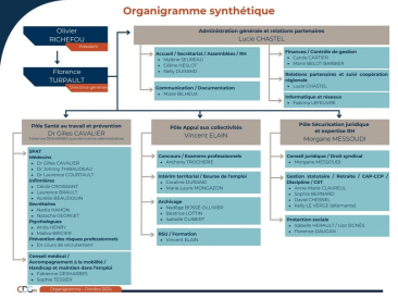 Organigramme synthétique